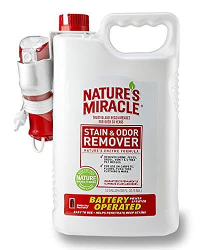 Original Formula Stain & Odor Remover Power Spray, 1.5 Gallon (192 Fl. OZ./5.68L)