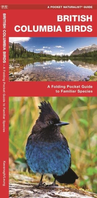 British Columbia Birds, 2nd Ed: A Folding Pocket Guide to Familiar Species (Nature Observation North America)