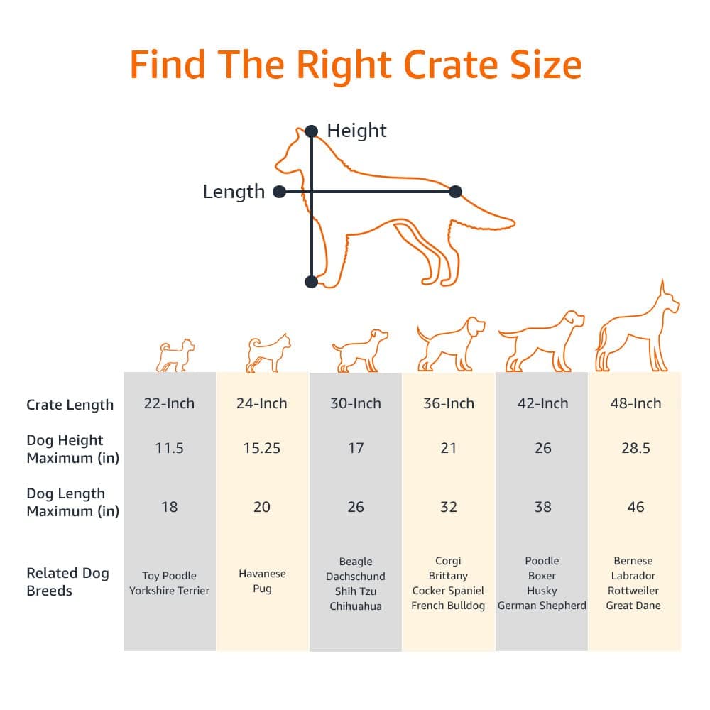 Amazon Basics XS Metal Dog Crate/Cage with Tray, Durable and Foldable Dog Cage with Double Door, Black, Extra Small 56cm (22")