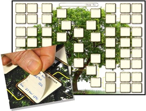 Family Tree Chart; A2 Ancestor Six Generation Bow Tie Sticker Chart