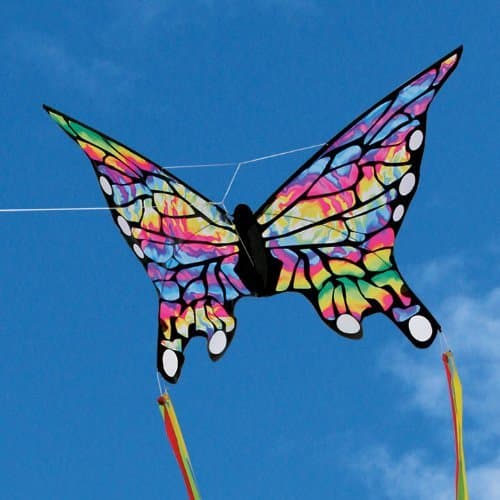 Skydog Tie Dye Butterfly Kite