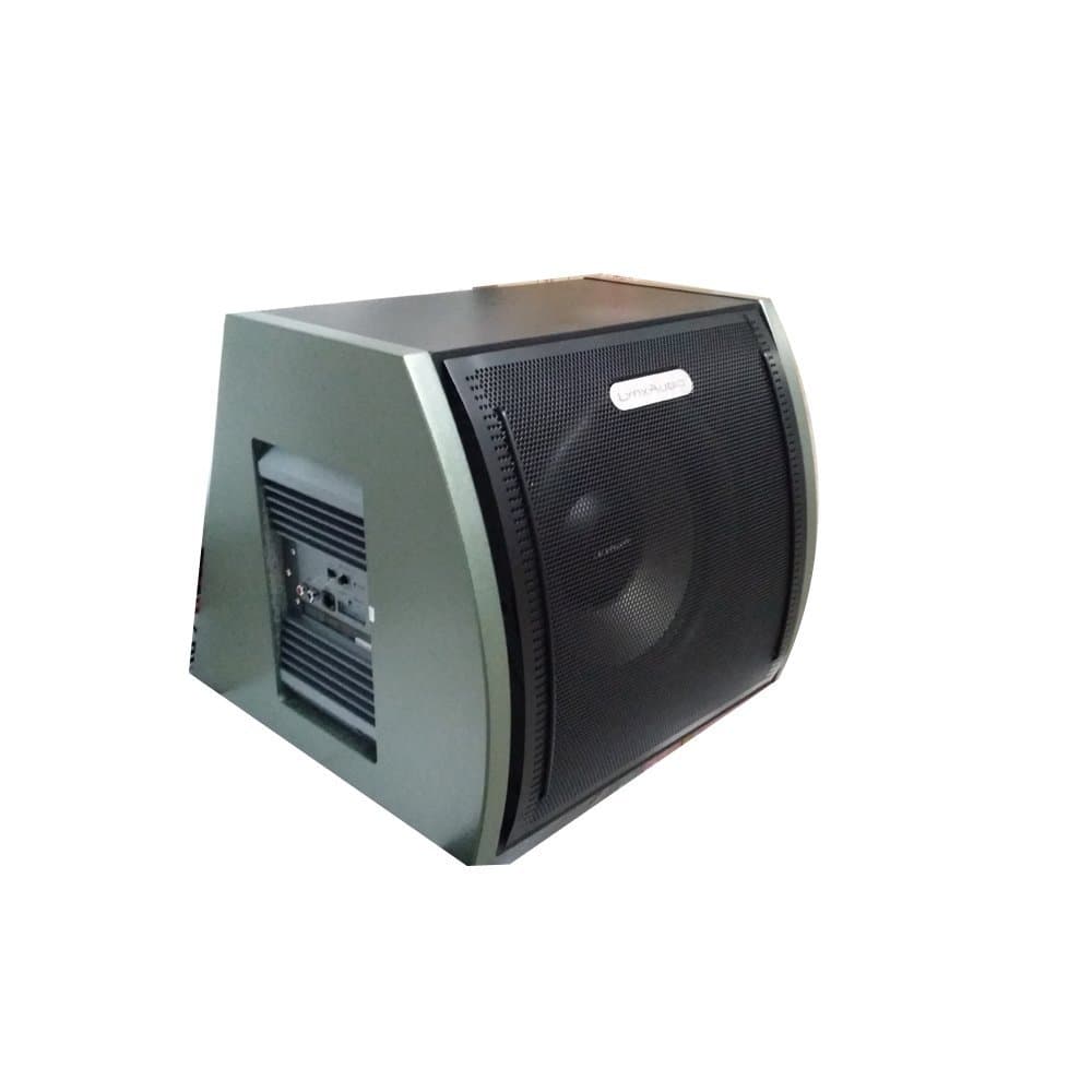 Lynx Audio SW-866 Active 12-Inch Subwoofer with Built-in 550W Amplifier