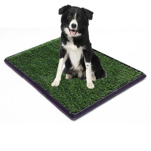 Replacement Grass (Turf) for Dog or Cat Potty Trays - Fits Trays 20" Inches x 30" Inches