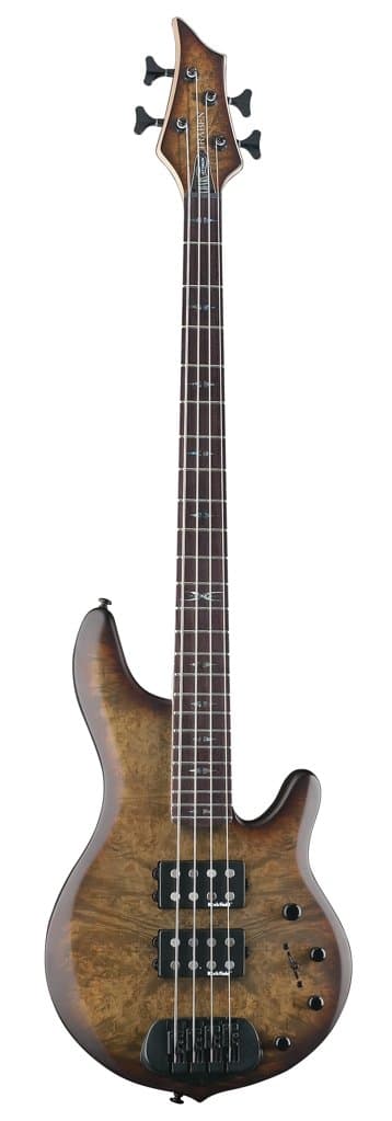 Chaos Attack 4 Series TRACA4G 4-String Bass Guitar, Granite