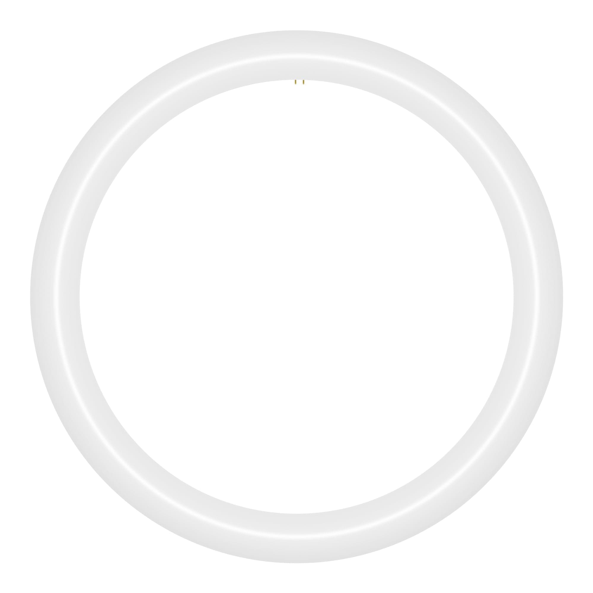 NYLL 16 inch T9 Circline Type A Plug & Play LED Lamp, Daylight (6000K) Direct Replacement for 40W FC16T9/D, FCL40 (Without Rewiring or Modification) Ballast Required!