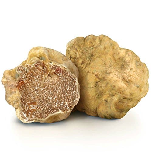 Fresh White Truffle (Tuber Magnatum ) , Fresh - 100 - 105 gr. / 3.5 - 3.7 oz. InterGourmandise