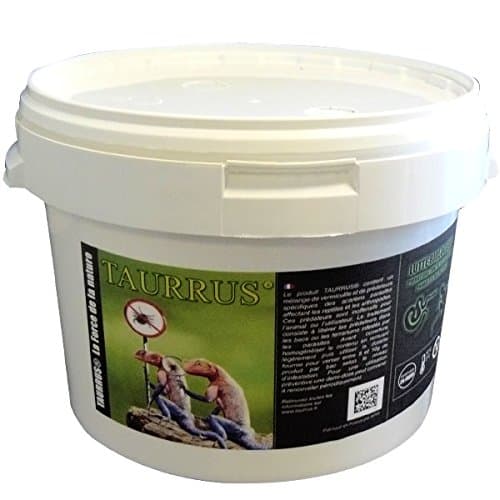 XL Snake Mite Predators