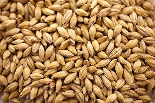 Gambrinus ESB Pale Malt - 1 LB, Uncrushed