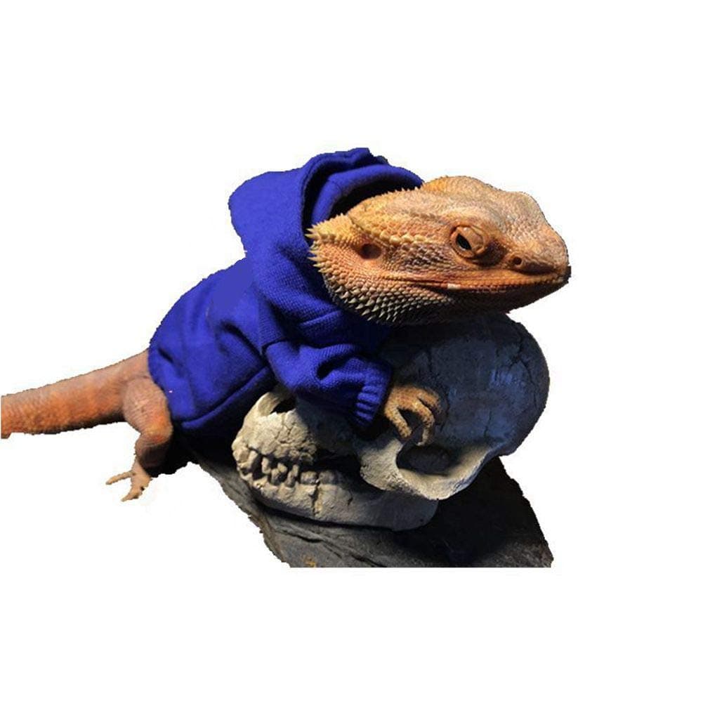 HAICHEN TEC Lizard Clothes for Bearded Dragons Reptile Apparel Handmade Cotton Material Hoodies Sweater for Skin Protection Photo Party for Crested Gecko Chameleon Blue