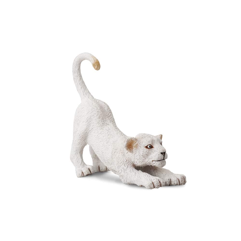 CollectA White Lion Cub - Stretching