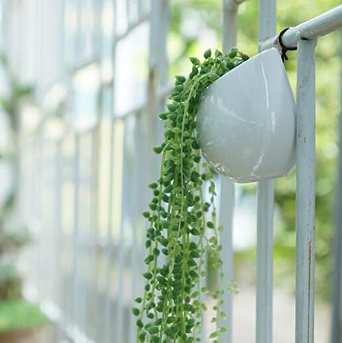 somarke Ceramic Pendent Succulent Plants Vases Pots White