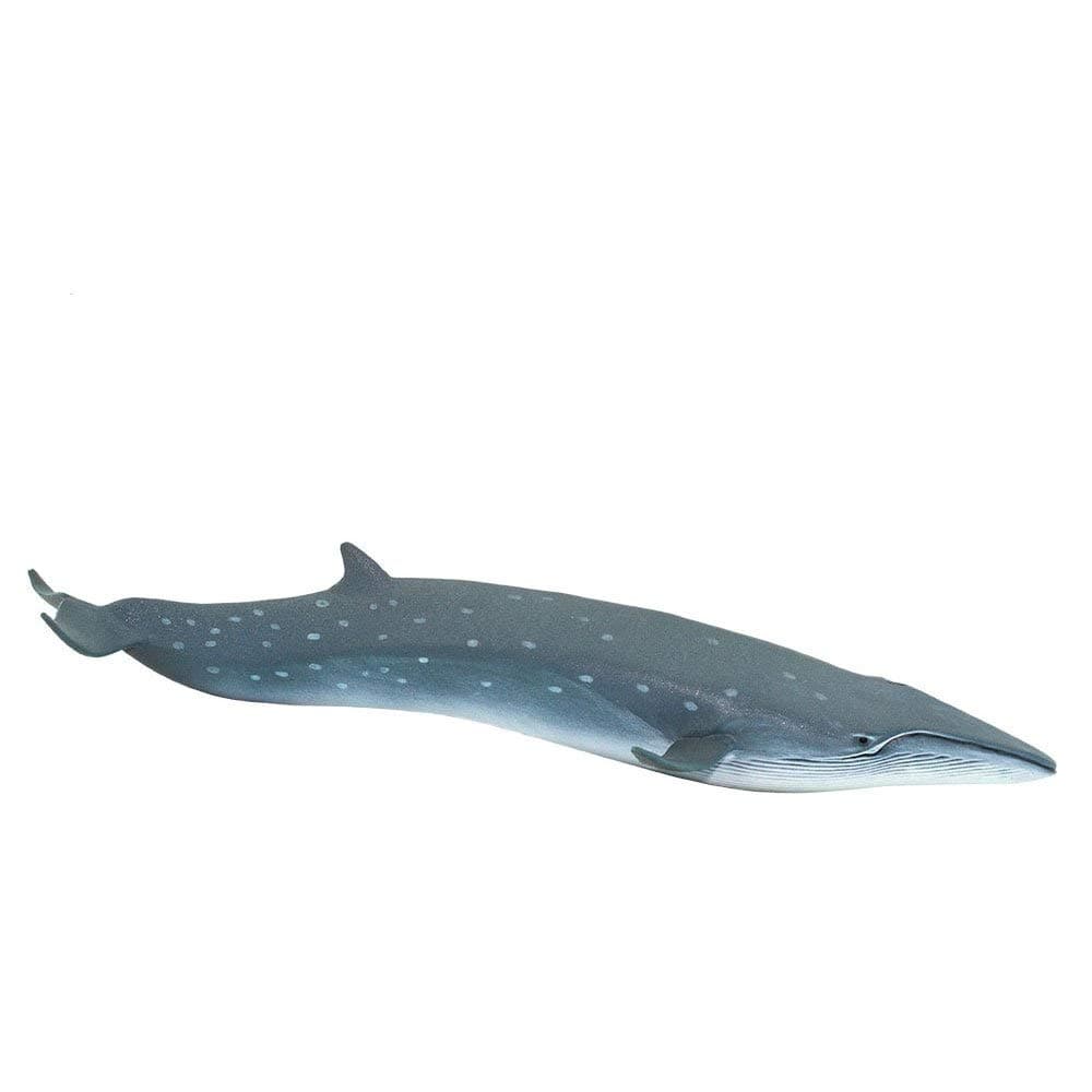 Sei Whale Figurine - Realistic 7.75" Plastic Whale Figure - Educational Ocean Animal Toy for Boys, Girls and Kids Ages 3+