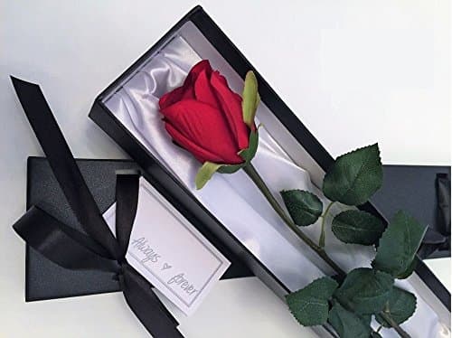 Single Stem Red Valentine Rose in a Silk Lined Black Presentation Gift Box including " Always & Forever " Gift Card. (Nini)