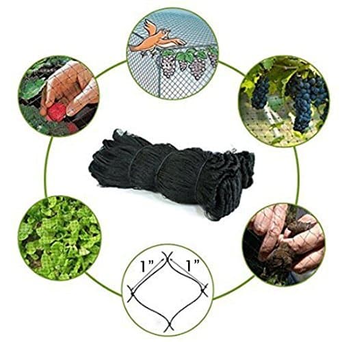 50' X 50' Net Netting for Bird Poultry Aviary Game Pens New 1" Square Mesh Size, Garden Netting Protects Fruit Trees & Vegetables from Hungry Birds & Chickens (50'50' with 1'1' mesh)