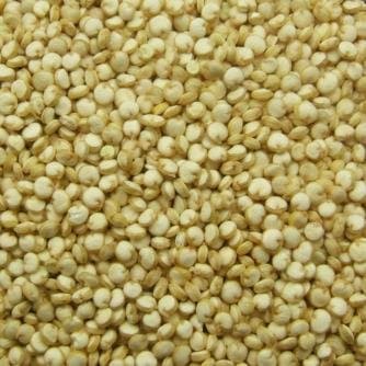 Quinoa White, Snacks for Thought - Delicious - Packed with Protein, Fiber and Essential Amino Acids 2 Lb.