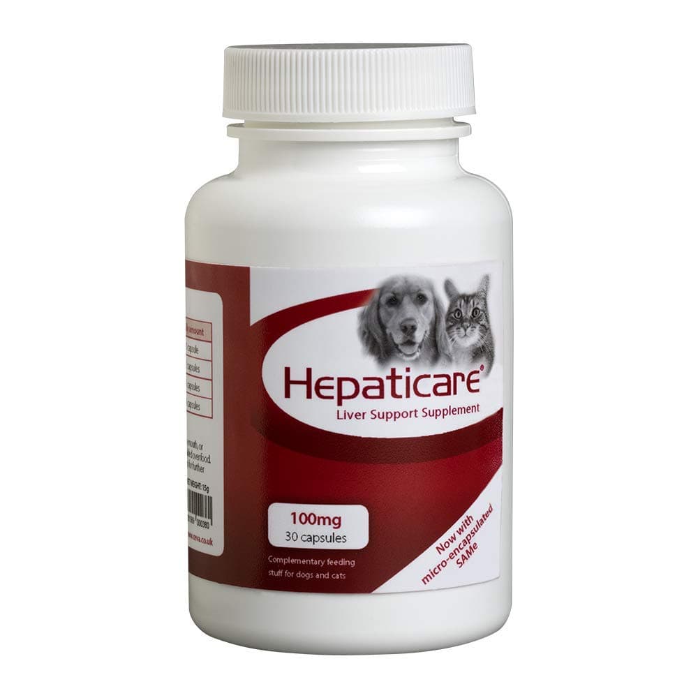Hepaticare Capsules, 100 mg, Pack of 30