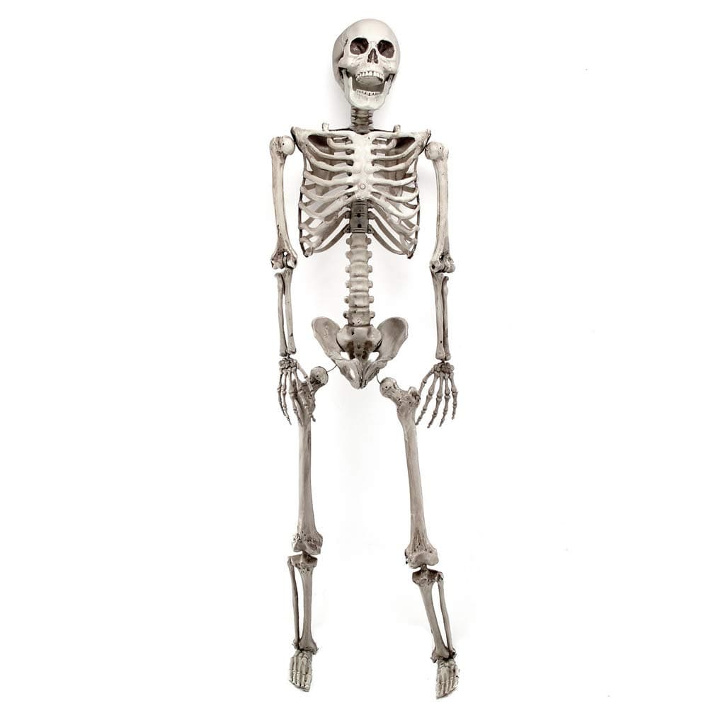 Lucky Monet 90cm Halloween Skeleton Posable Children Size Skeleton Movable Joints Halloween Party House Hunted Prop Decoration (90cm/3ft)