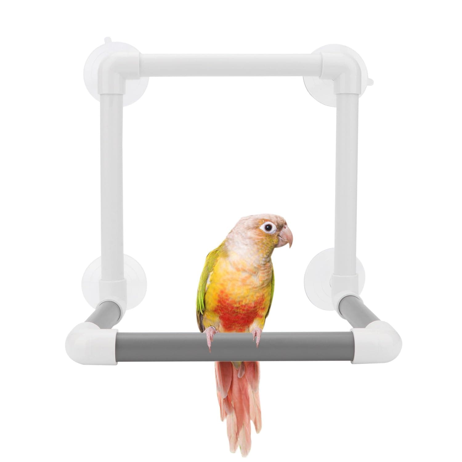 Hypeety Bird Portable Suction Cup Parrot Shower Perch Window Standing Platform Shower Bath Toy for Bird Parrot Macaw Cockatoo African Greys Budgies Parakeet Cockatiel