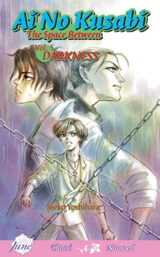 Ai No Kusabi Volume 5 (Yaoi Novel)