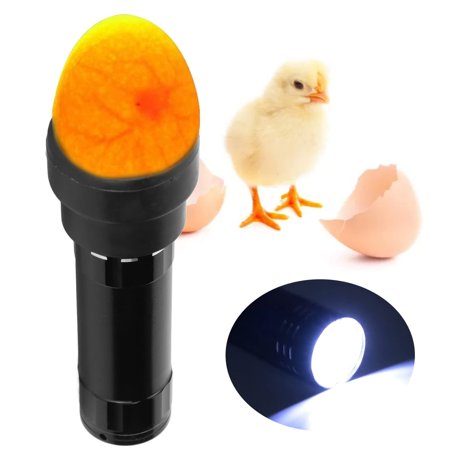 Egg Candler, Egg Candler Tester 9 Lamp Cool Light Easy to Operate, Durable Safe Egg Lamp Incubator with Lanyard for Schools Laboratories Breeding Stations