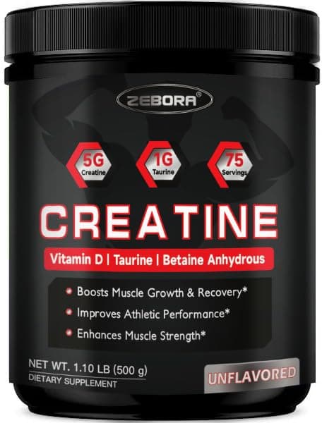 ZEBORAMicronized Creatine Monohydrate Powder, Creatine Monohydrate for Women-Men, Helps Muscle Recovery, Enhances Muscle Size