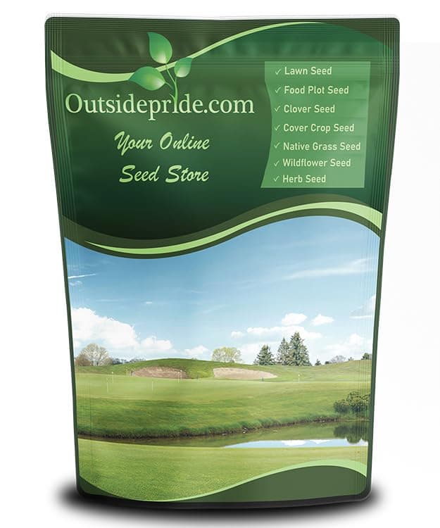 Outsidepride Royal TXD Bermuda Grass Seed Blend - 10 lbs. Warm Season, Fast Growing Turf Grass Seeds: Heat & Drought Tolerant, Ideal for Home Lawns & Sports Fields, Dense & Lush Green Coverage