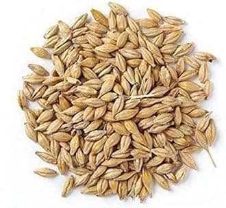 Classic Barley (Jav) Whole 4 oz (100g) ~ All Natural | Vegan | NON-GMO | Indian Origin