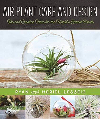 Air Plant Care and Design: Tips and Creative Ideas for the World's Easiest Plants Kindle Edition
