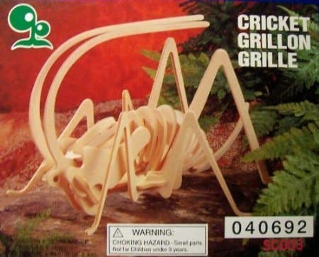 "ABC Products" - 3-D ~ Insect Assembling - Skeleton Kit (Cricket Model - Helps Kids Develop Coordination and Problem-Solving Skills).