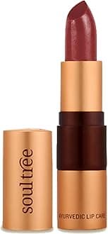 SoulTree Ayurvedic Lipstick - True Brick 813, 4gm | Creamy Texture | Enriched with Organic Ghee & Almond Oil | Moistured & Nourished Lips | 4gm