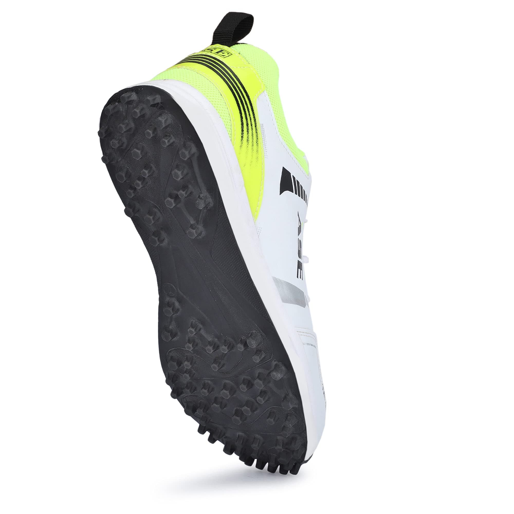ASE Men's Professional Cricket Shoes