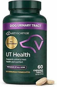 Quick Action UT Health Chewable Tablets, UT Strength STAT Supplement for Dogs, Cranberry, Uva Ursi, and Chanca Piedra to Soothe Urinary Tract Discomfort, Smoke, 90 Count
