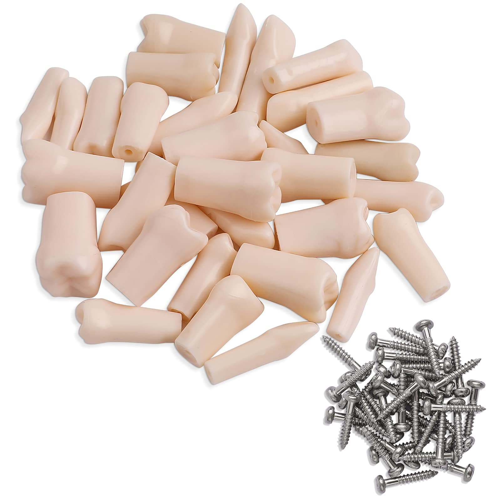 ANNWAH Removable Typodont Teeth for Dental Typodont Teeth Model, Dental Practice and Teaching Replace Detachable Model （32Pcs/Set）