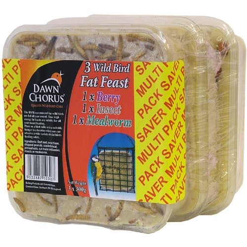 Dawn Chorus 12 Pack Fat Feast For Wild Birds With Mealworms, Berries and Insects Flavours