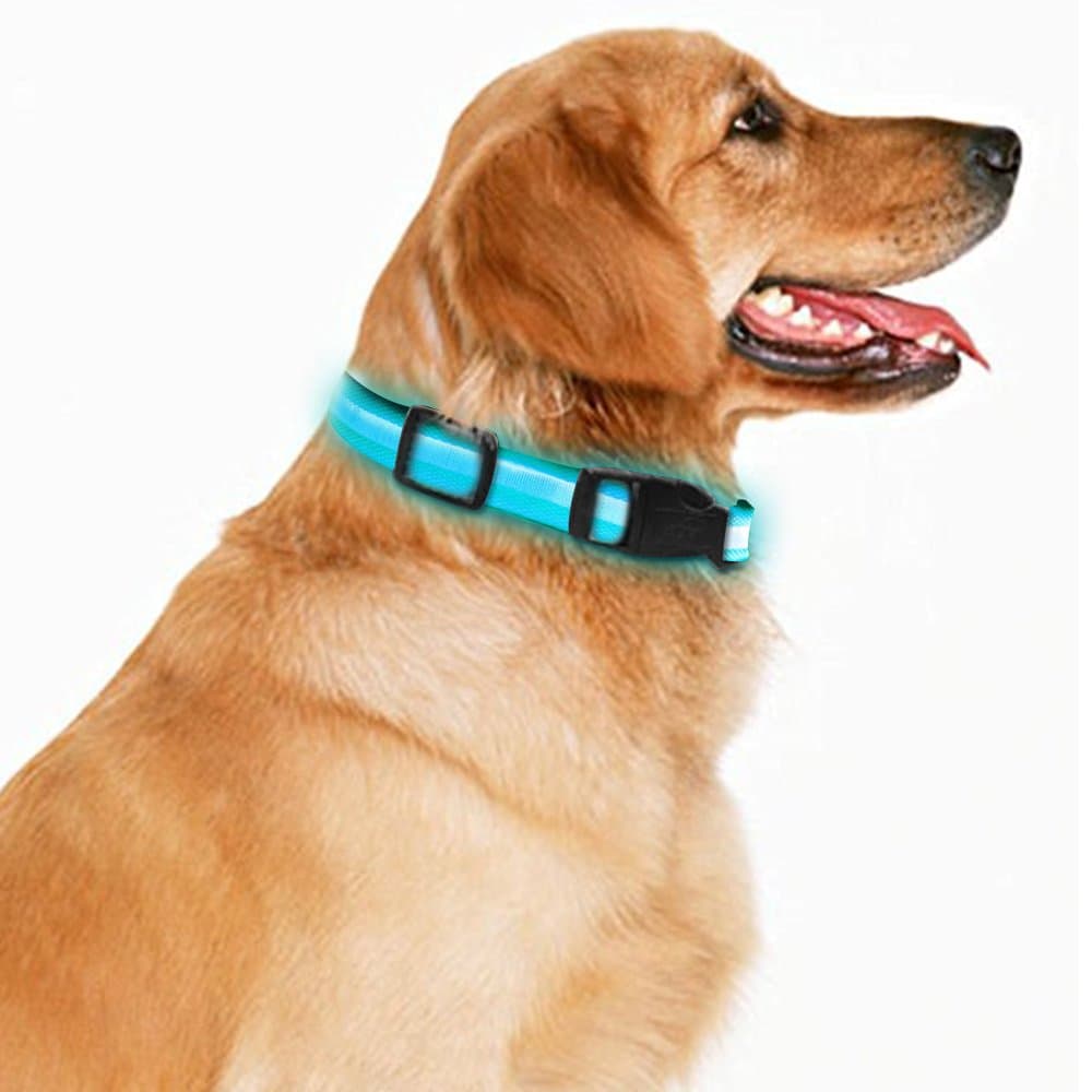 LED Dog Necklace Collar USB Rechargeable Loop Available in 4 Colors Pink Green Blue Black 3 Size For You to Choose Makes Your Dog Visible Safe & Seen (S, Blue)