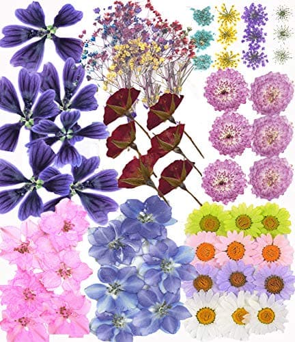 Candle Making Kit Dried Pressed Flowers Decoration Supplies Assorted Daisy Rose Forget Me Flowers