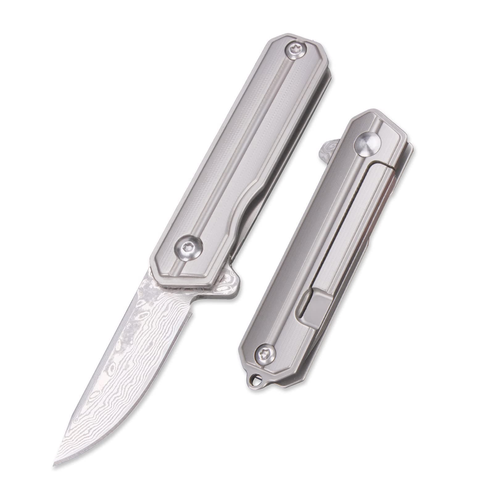 Samior HY004 Mini Titanium Handle Pocket Knife, 1.4 inches Damascus Blade, Keychain Utility Neck EDC Knives for Box Opening (Drop Point)