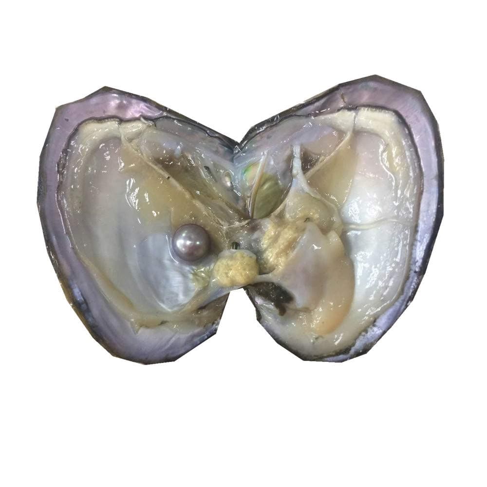 10PCS Oyster with Edison Pearl Inside,Edison Pearl Oysters,Mini Monsters