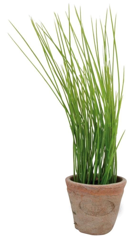 Esschert Design Artificial Herb Plant, Chives, Small