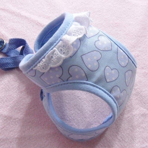 Alpha Dog Series Harness (Heart, Blue)