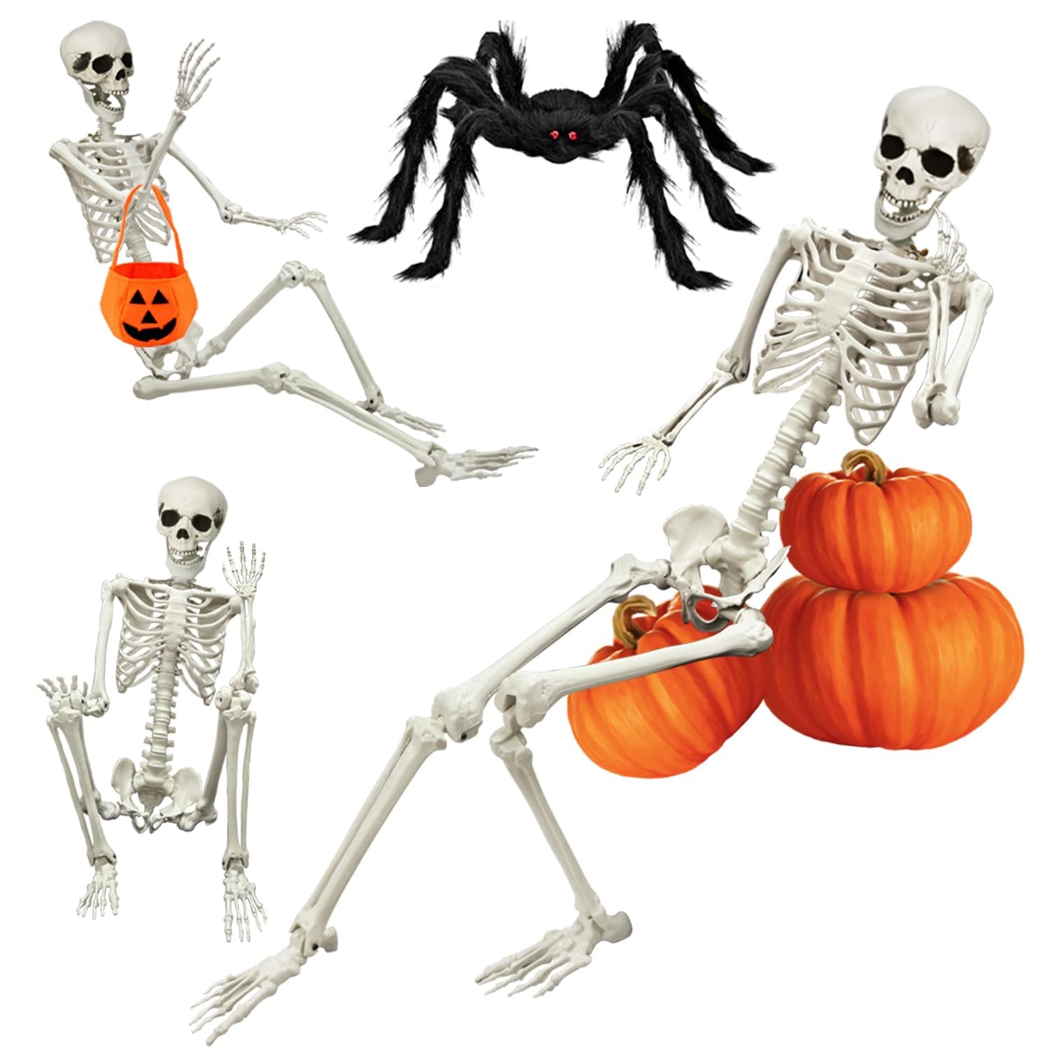 5.4FT Halloween Life Skeleton with Spider, Full Size Skeleton for Halloween Patio Lawn Garden Props Spooky Party Decoration