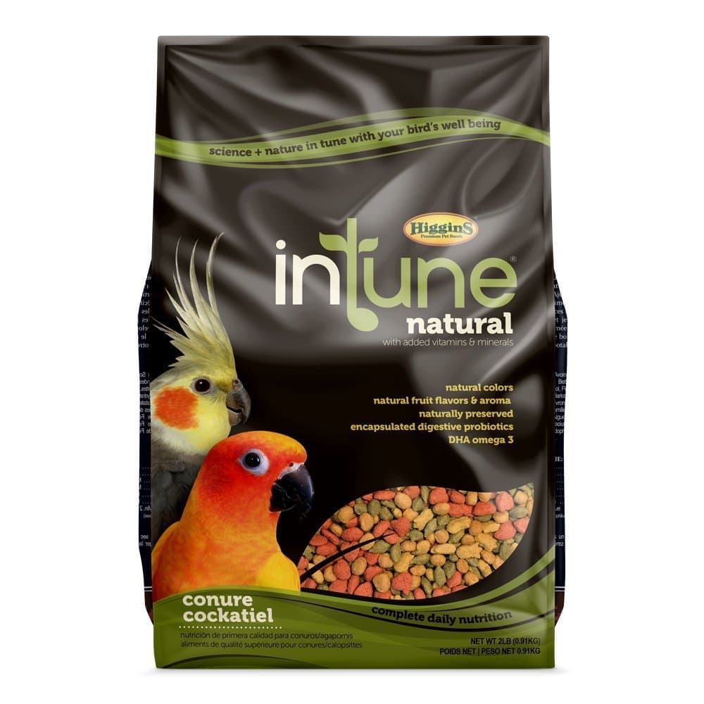 466250 Hig Intune Conure Tiel 2Lb, Large