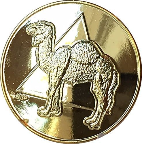 Bright Star PressCamel Triangle 22k Gold Plated AA Medallion Sobriety Chip