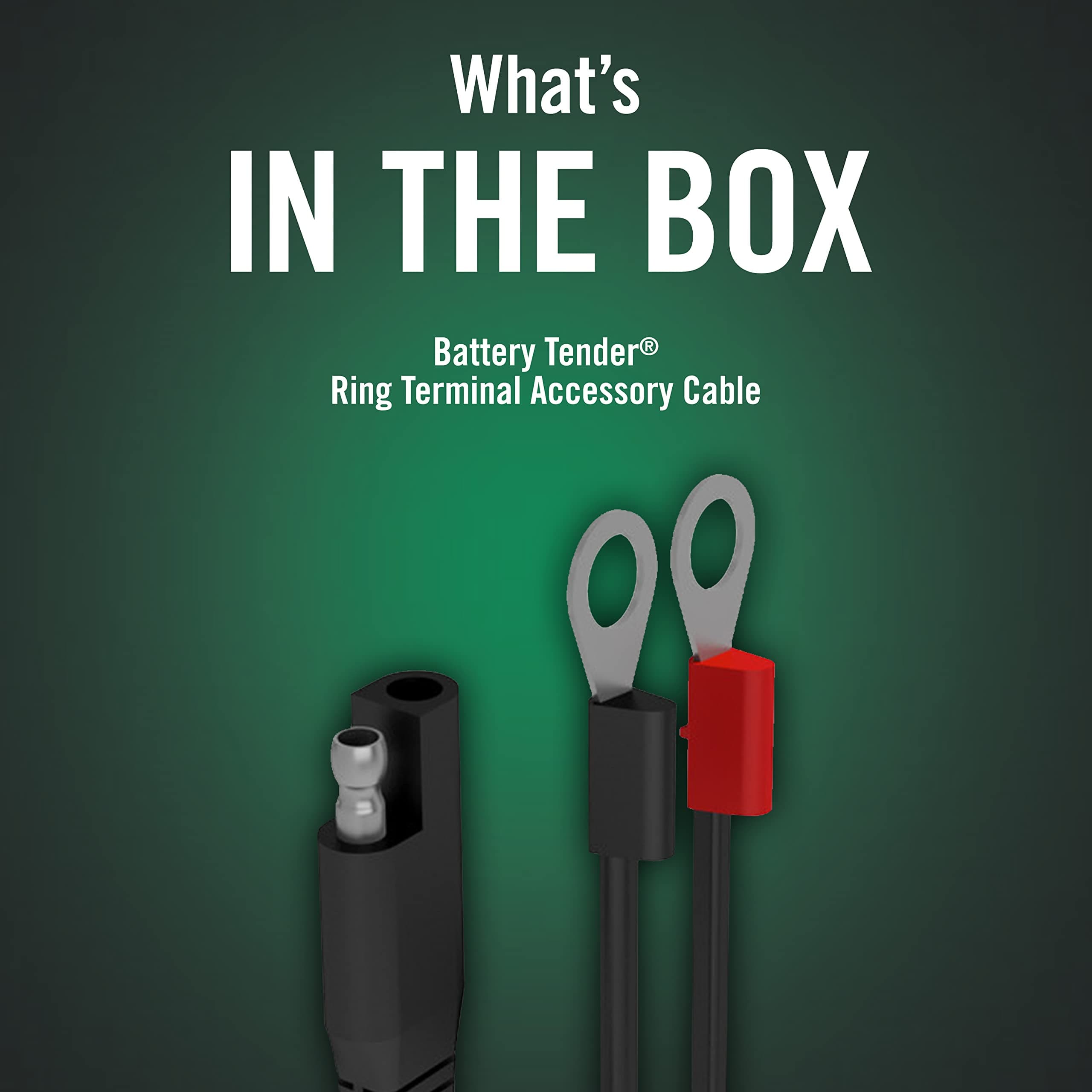 Battery Tender 081-0069-6 Ring Terminal Harness with Black Fused 2-Pin Quick Disconnect Plug