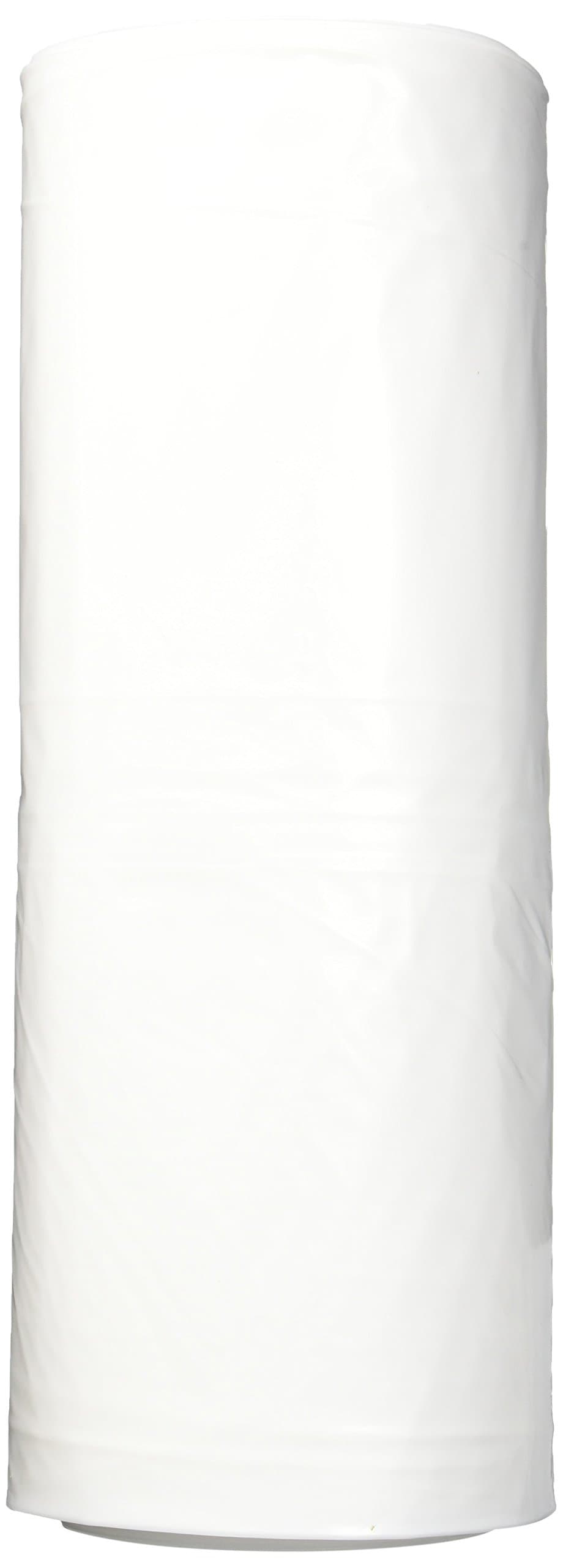 POLY AMERICA R210-100C 10-Feet X 100-Feet 2 Mil Clear Poly Film