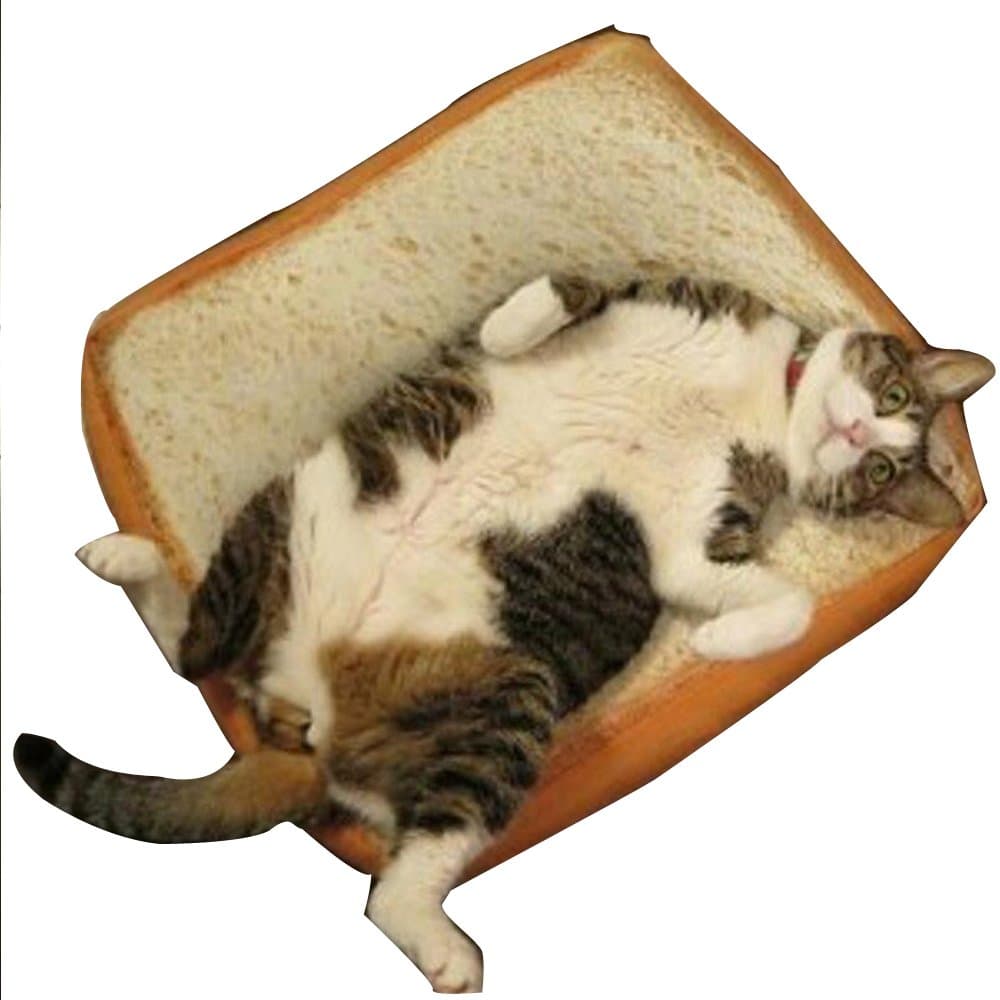 Patedan Sleeping Cotton Simulation Bread Slices Small Cat Plush Toy Toast Cushion Soft Pillow