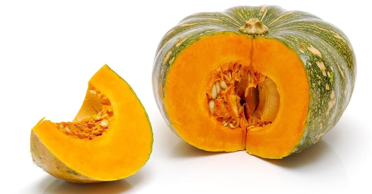 Fresh Pumpkin, Pack Of 1