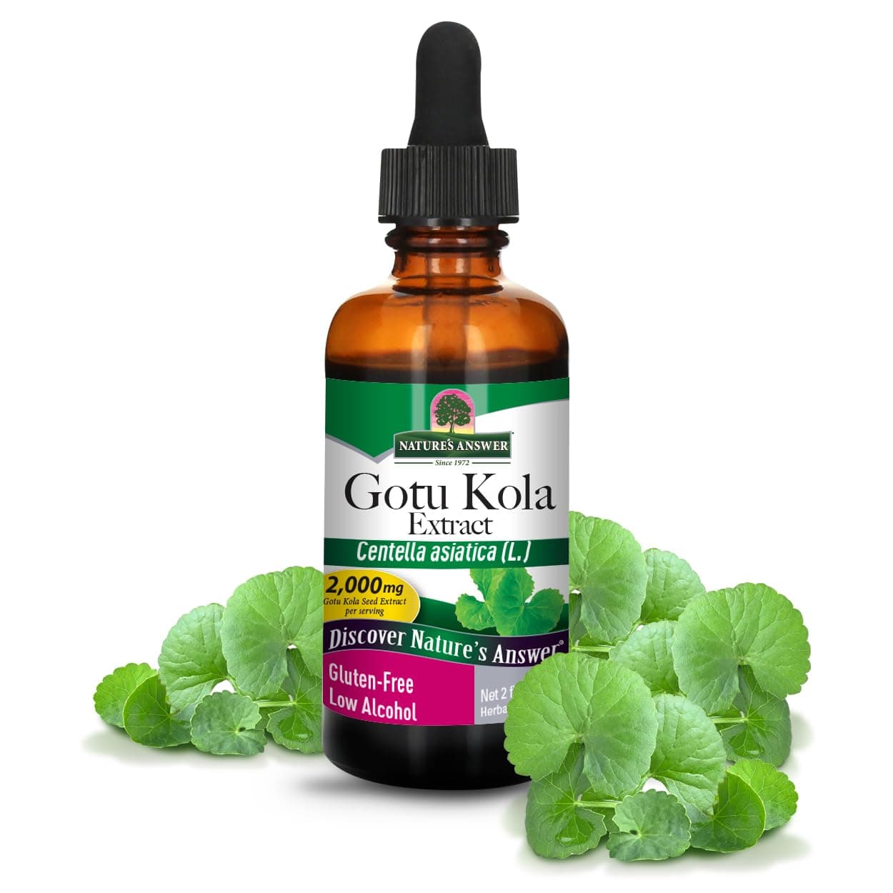 - Nature's Answer Gotu Kola Herb with Organic Alcohol, 2-Fluid Ounces
