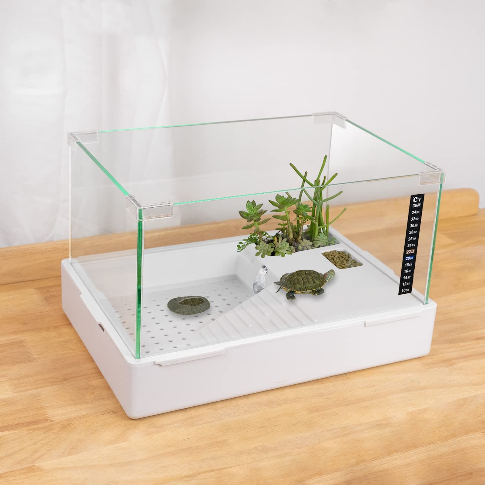 BETAZOOER Turtle Tank with Adjustable Water Pump Filter, Full View Visually Tortoise Aquarium Habitat, Glass Material Easy Changing Water&Clean for Small Amphibious Creatures Reptiles (23"×13.5"×10")