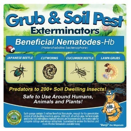 5 Million Live Beneficial Nematodes Hb - Soil Pest Exterminator